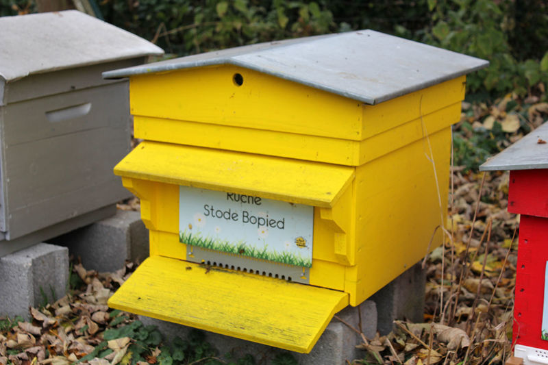 La ruche Stode Bopied